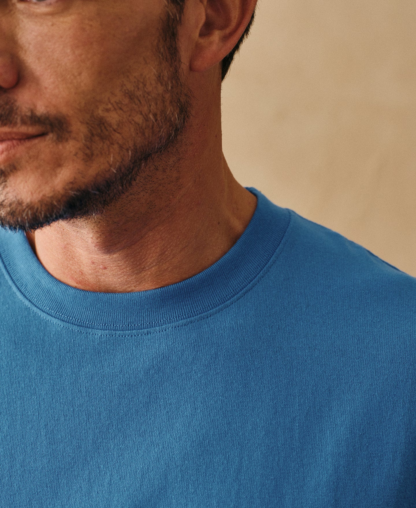 Regular Fit Heavyweight Tubular Jersey T-Shirt - Blue